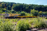 gleisbau-5/893589/der-gottwald-gleisbauschienenkran-gs-4008-t Der GOTTWALD Gleisbauschienenkran GS 40.08 T der HERING Bahnbau GmbH (Burbach), D-HGUI 99 80 9119 002-2, (ex 97 82 41 503 19-9 D-HGUI, ex 97 82 41 503 17-3, ex 60 80 092 3576-3) abgestellt am 26 August 2025 im Rbf Betzdorf/Sieg.

Der Eisenbahndrehkran vom Typ GOTTWALD GS 40.08 T wurde 1987 von Gottwald in Dsseldorf unter der Fabriknummer 146 027 gebaut.

Der Gottwald 45 t GS 40.08 T wird fr den Aus- und Einbau von schweren Betonweichen, Gleisjoche und Hilfsbrcken sowie fr die Montage von Ingenieurbauwerken eingesetzt. Durch die rckwrtige Ausladung von zwei Metern wird der Zugverkehr im Nachbargleis, bei vier Meter Mindestabstand zum Gleis, nicht gestrt.

Vor dem Kran stehen die beiden zugehrigen Schutzwagen der Gattung Res, links der 80 80 3948 001-3 D-HGUI und rechts davor 80 80 394 8 005-4 D-HGUI (ex 60 80 092 3 511-0, ex 33 52 393 7 563-7 D-DB). 