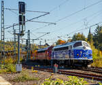 Die My 1149 (92 80 1227 008-0 D-AMR) im Tuborg Winter-Design und die My 1155 (92 80 1227 010-6 D-AMR), zwei NOHAB  AA16 der Altmark-Rail erreichen am 09.10.2021 mit einem Bauzug der STRABAG Rail GmbH